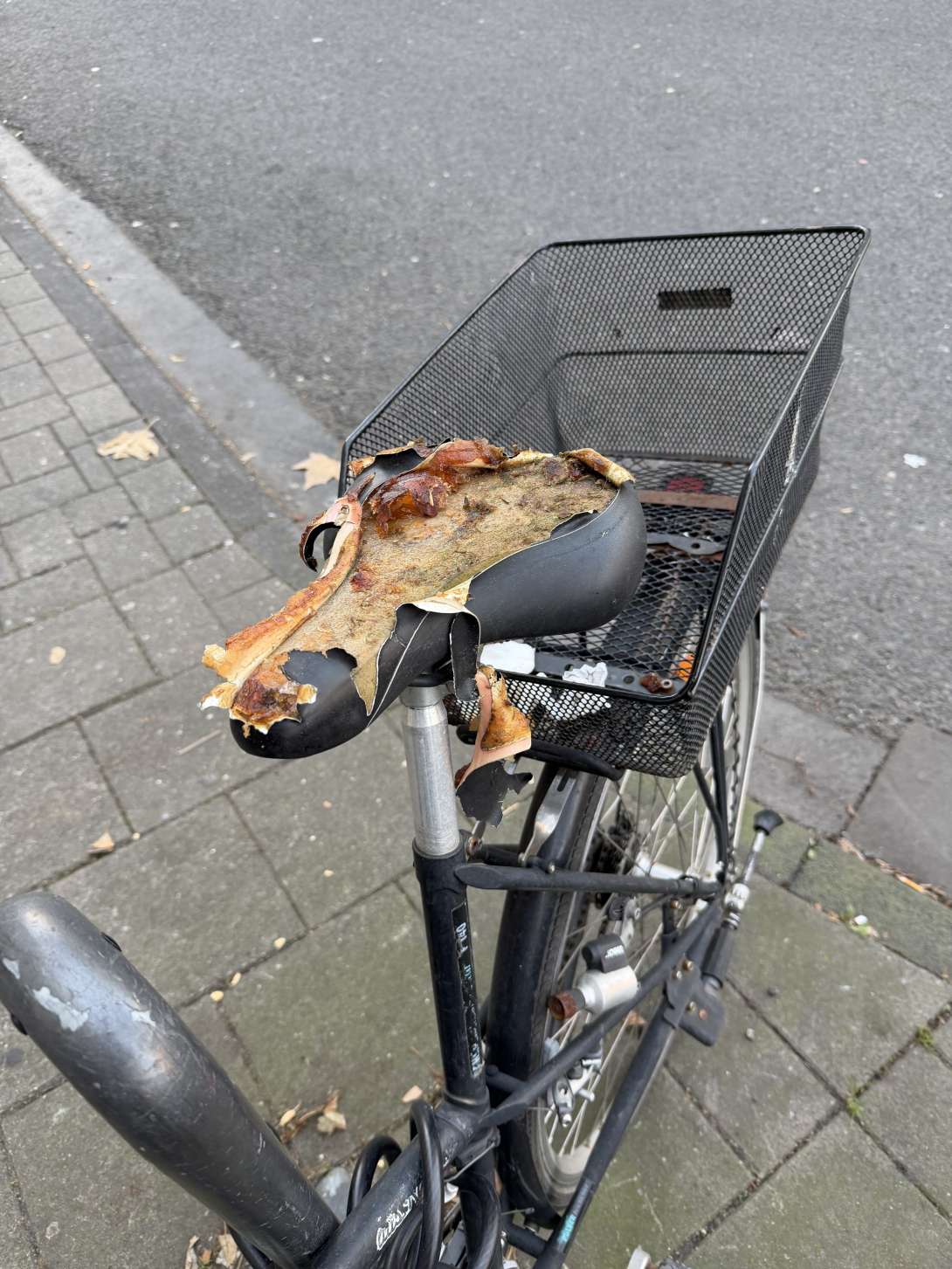 Bild zu gemeldetem Anliegen vom *2025-12-27 09:29:23