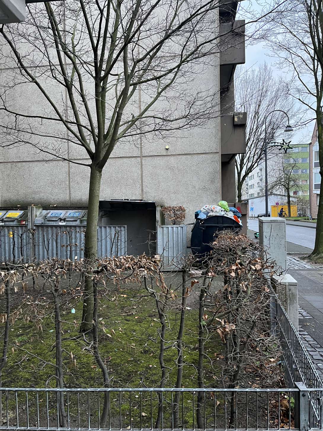 Bild zu gemeldetem Anliegen vom *2025-12-05 11:35:42