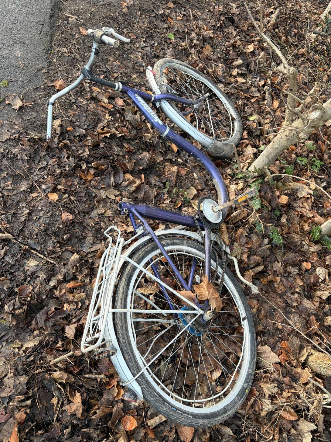 Bild zu gemeldetem Anliegen vom *2025-12-30 15:31:56