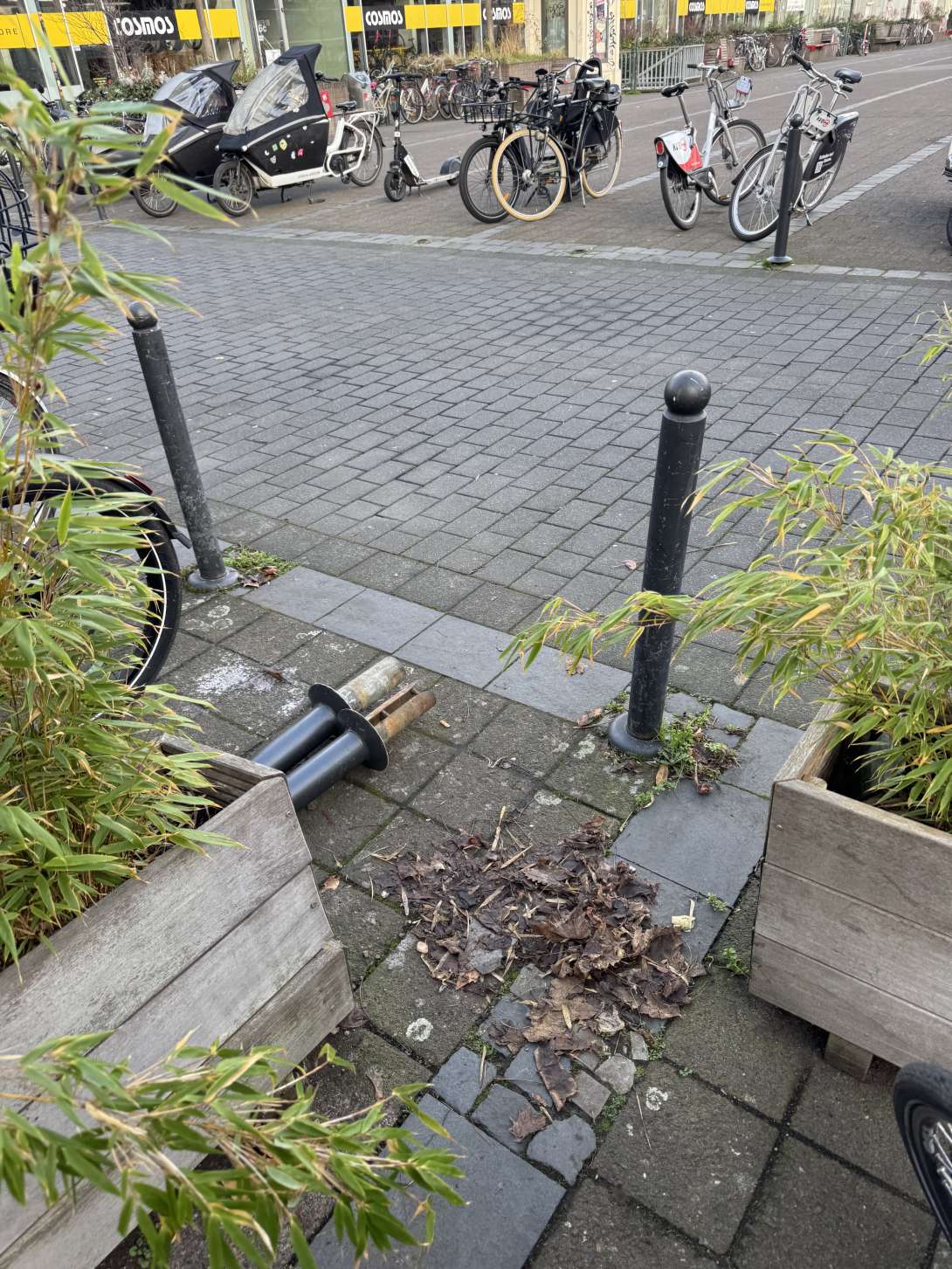 Bild zu gemeldetem Anliegen vom *2025-12-22 11:32:47