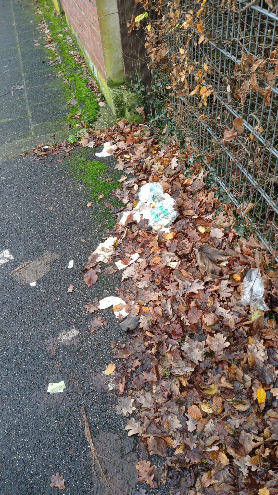 Bild zu gemeldetem Anliegen vom *2025-12-21 09:34:55