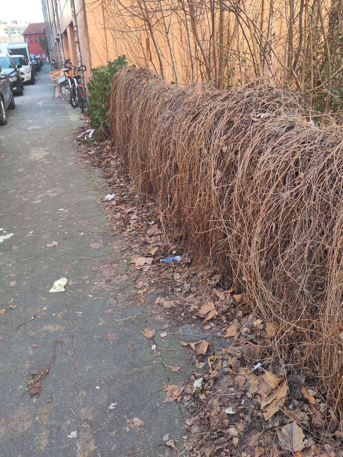 Bild zu gemeldetem Anliegen vom *2025-12-27 15:27:42