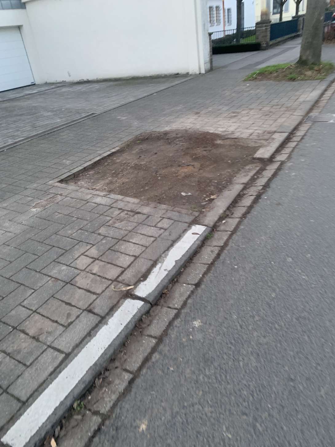 Bild zu gemeldetem Anliegen vom *2025-12-27 11:37:12