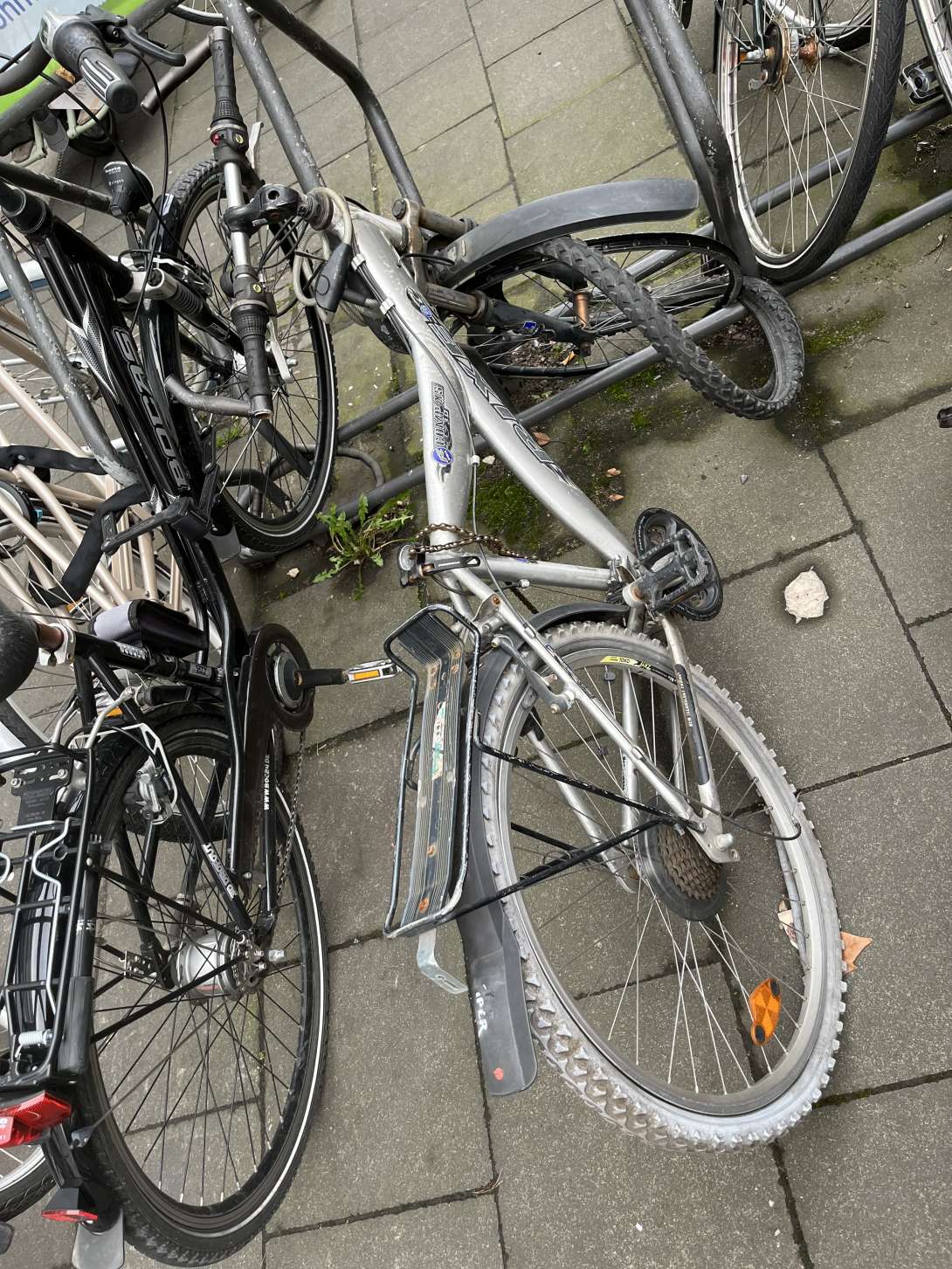 Bild zu gemeldetem Anliegen vom *2025-12-03 12:28:51