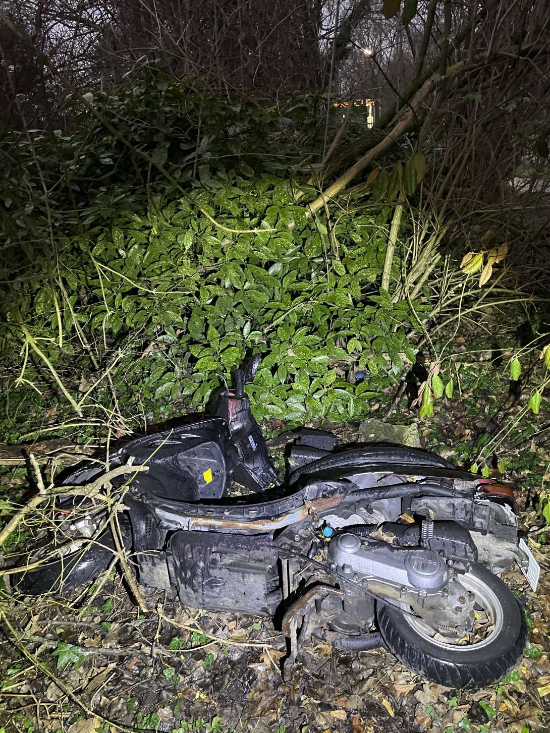 Bild zu gemeldetem Anliegen vom *2025-12-31 15:32:16