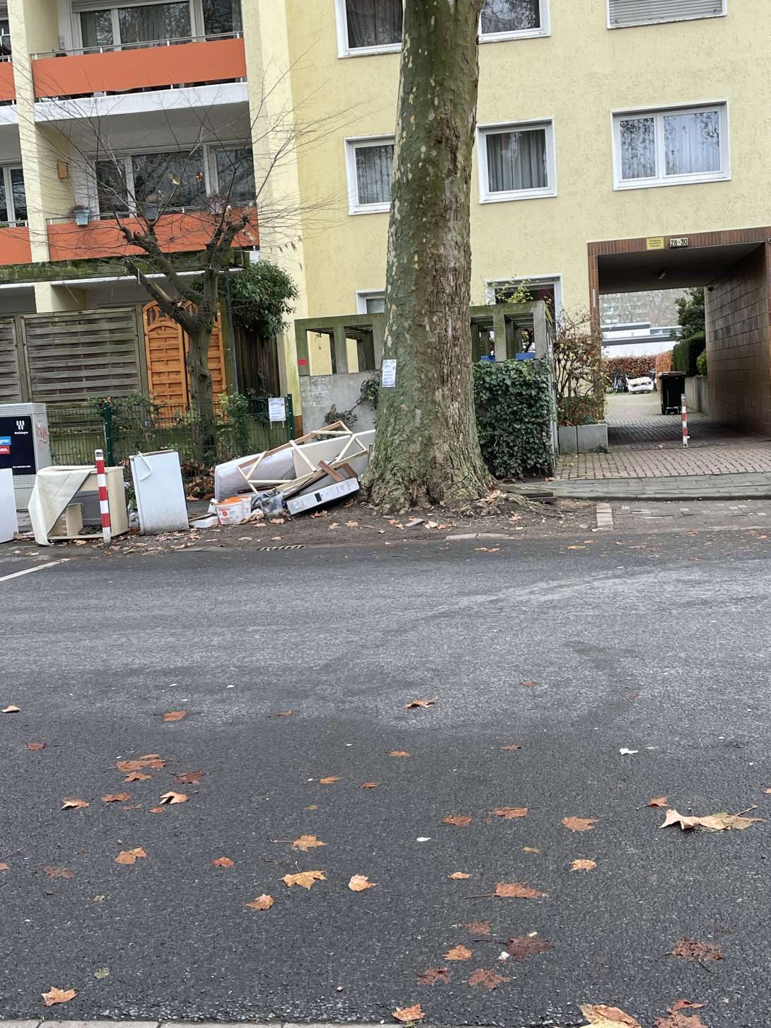 Bild zu gemeldetem Anliegen vom *2025-12-11 12:16:21