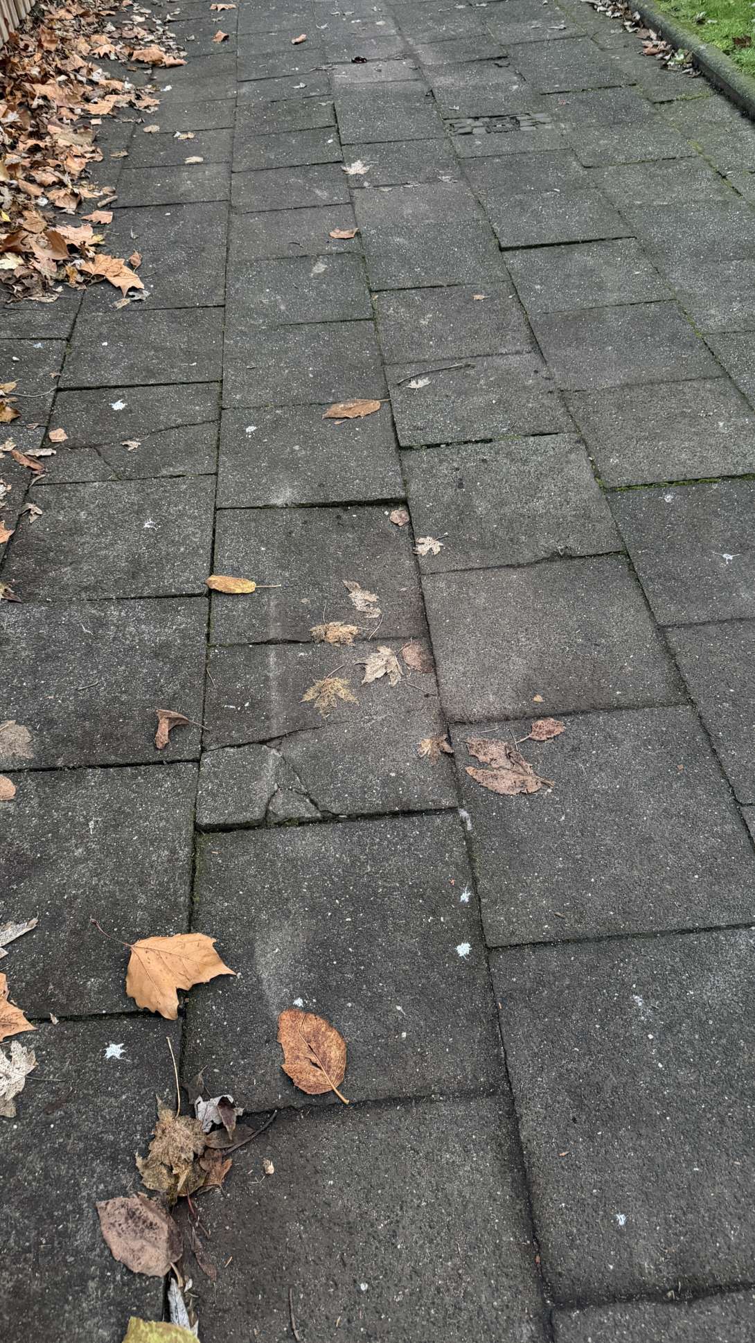 Schaden Storchenweg 31