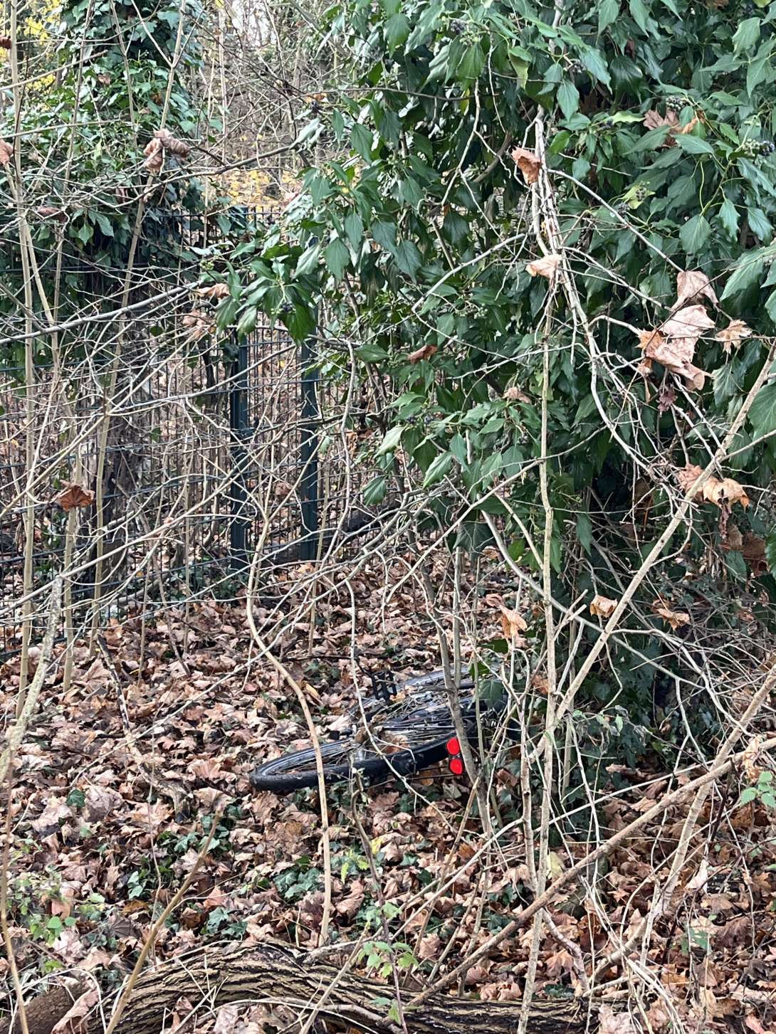 Bild zu gemeldetem Anliegen vom *2025-12-09 16:55:51