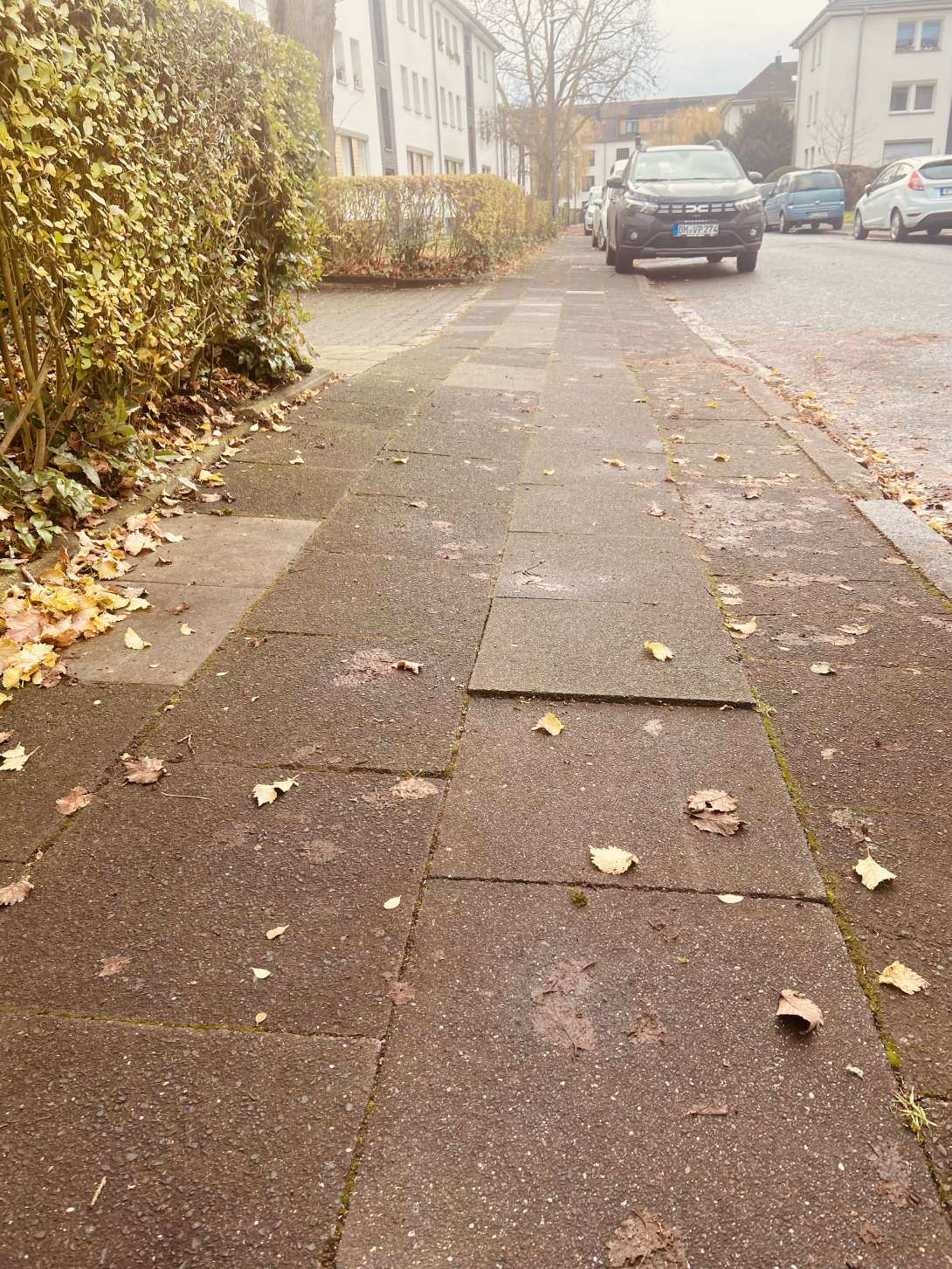 Bild zu gemeldetem Anliegen vom *2025-12-08 14:39:28