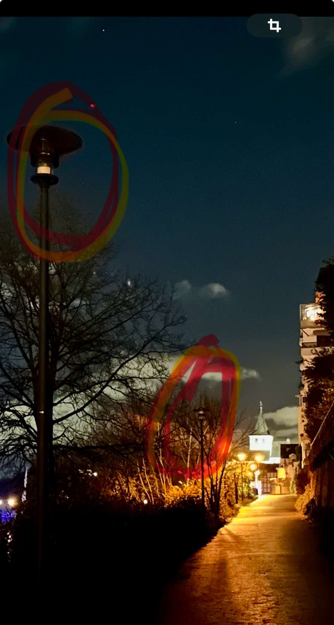 Rheinufer nahe Restaurant Quetsch Bild zu gemeldetem Anliegen vom *2025-12-01 15:29:54