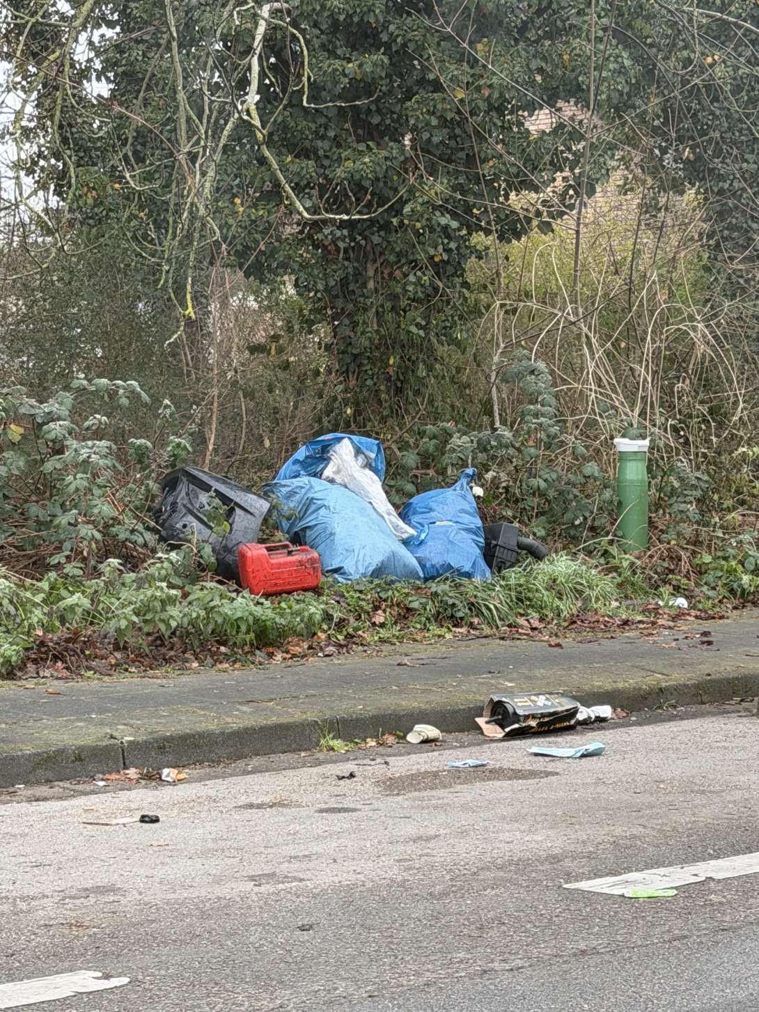 Bild zu gemeldetem Anliegen vom *2025-12-29 12:29:52