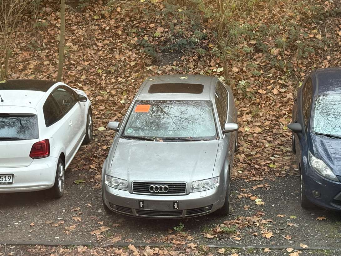 Bild zu gemeldetem Anliegen vom *2025-12-05 06:35:41