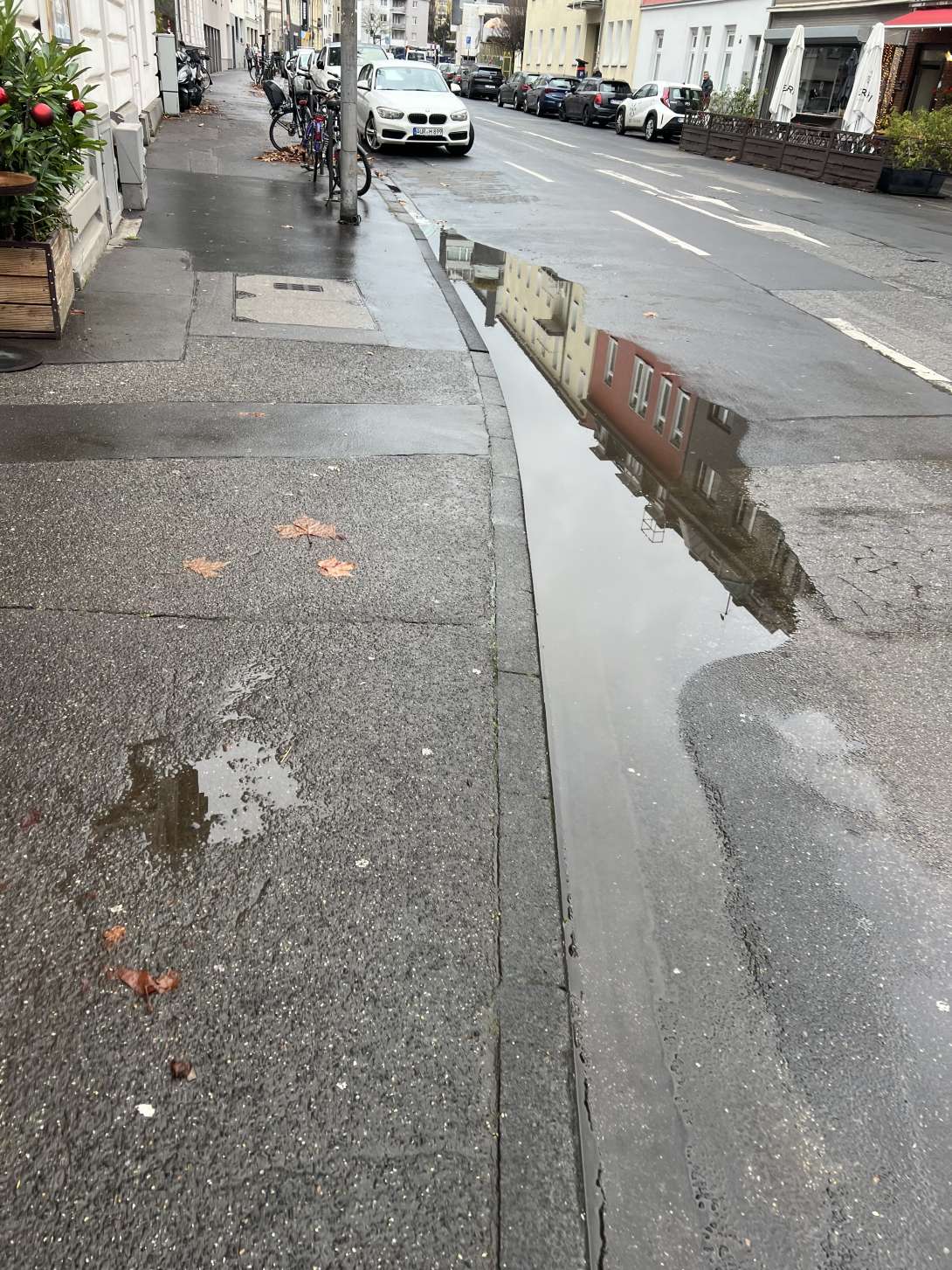 Bild zu gemeldetem Anliegen vom *2025-12-11 11:51:42