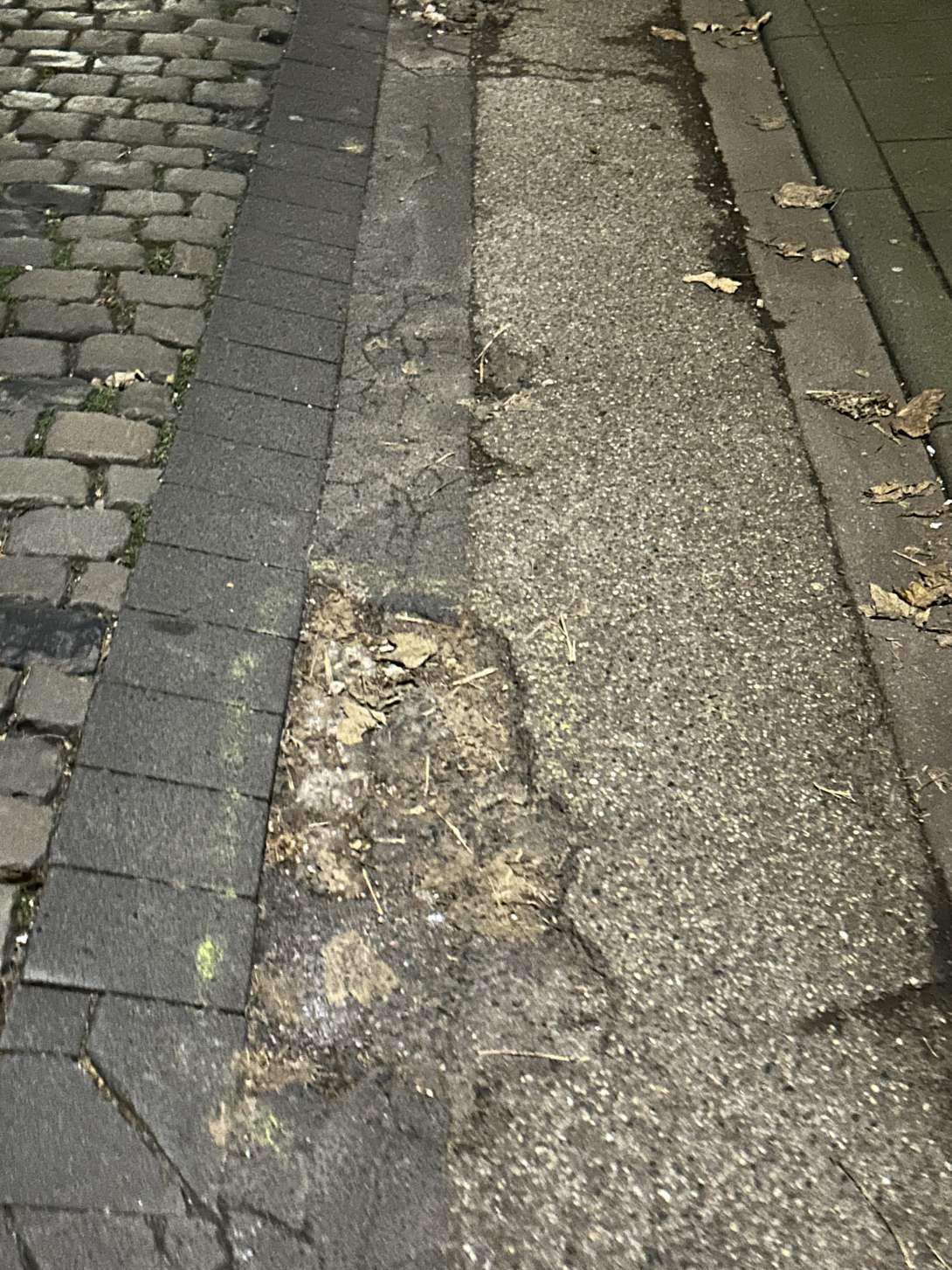  Im Oktober eingekringelt worden….2025-12-18 06:27:34