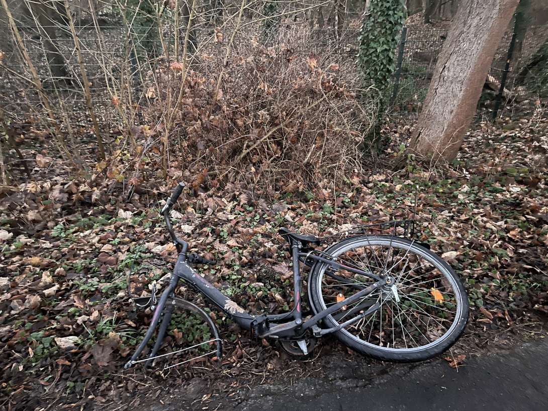 Bild zu gemeldetem Anliegen vom *2025-12-30 18:35:45