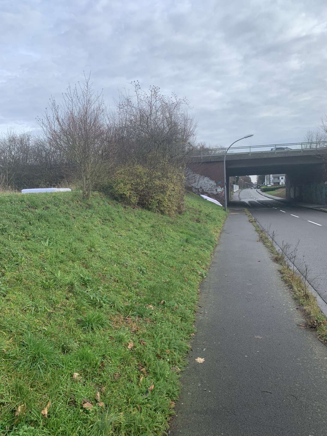 Bild zu gemeldetem Anliegen vom *2025-12-22 11:46:42