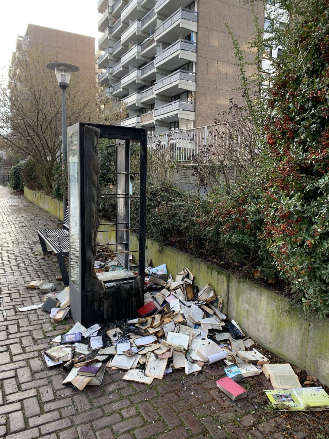 Bild zu gemeldetem Anliegen vom *2025-12-31 12:30:17