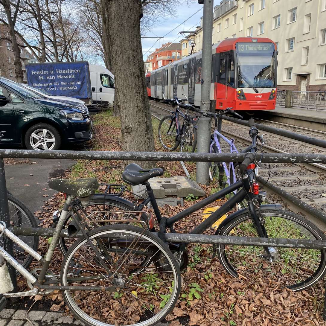 Bild zu gemeldetem Anliegen vom *2025-12-15 15:31:52