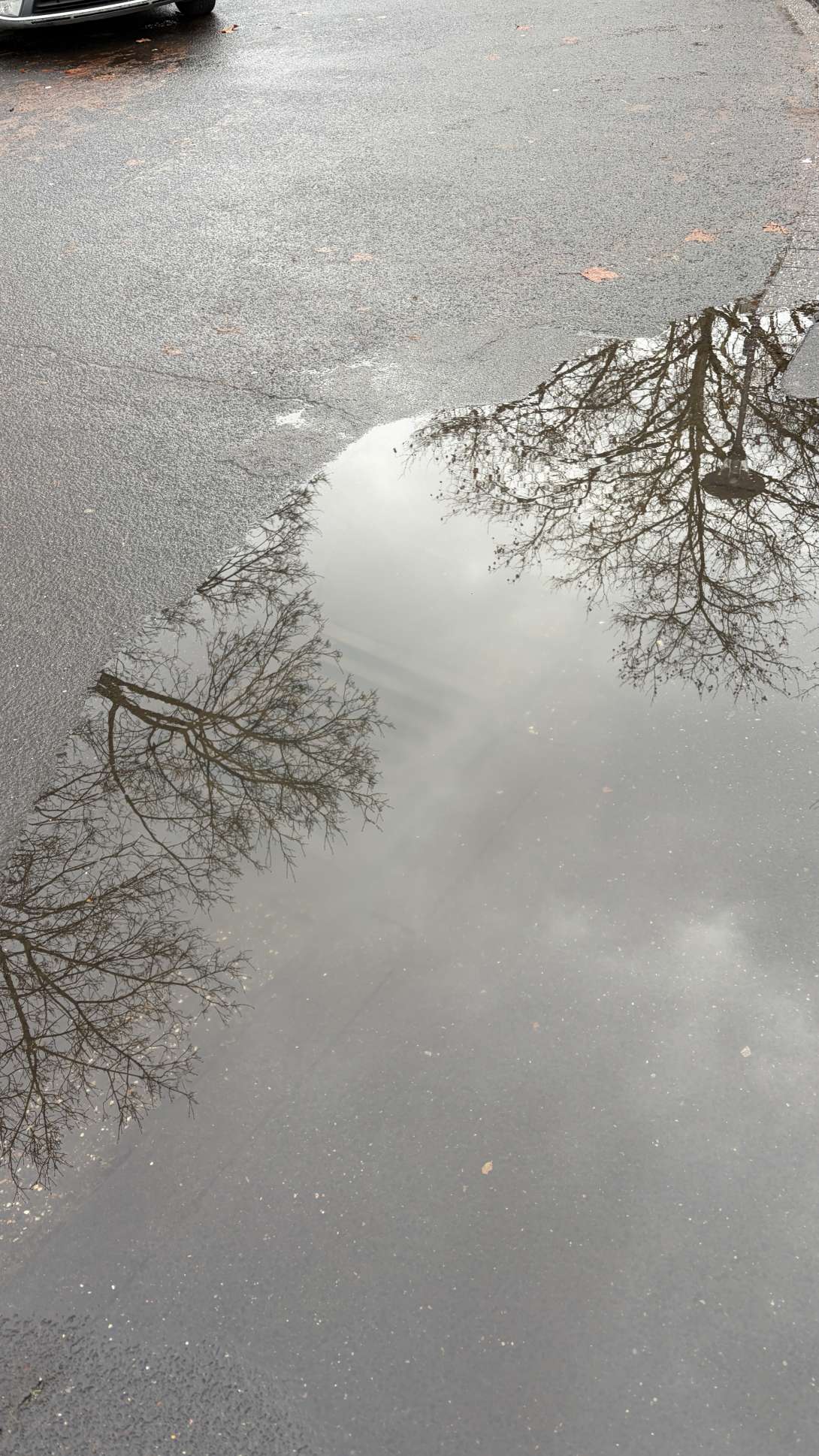 Bild zu gemeldetem Anliegen vom *2025-12-07 10:42:08