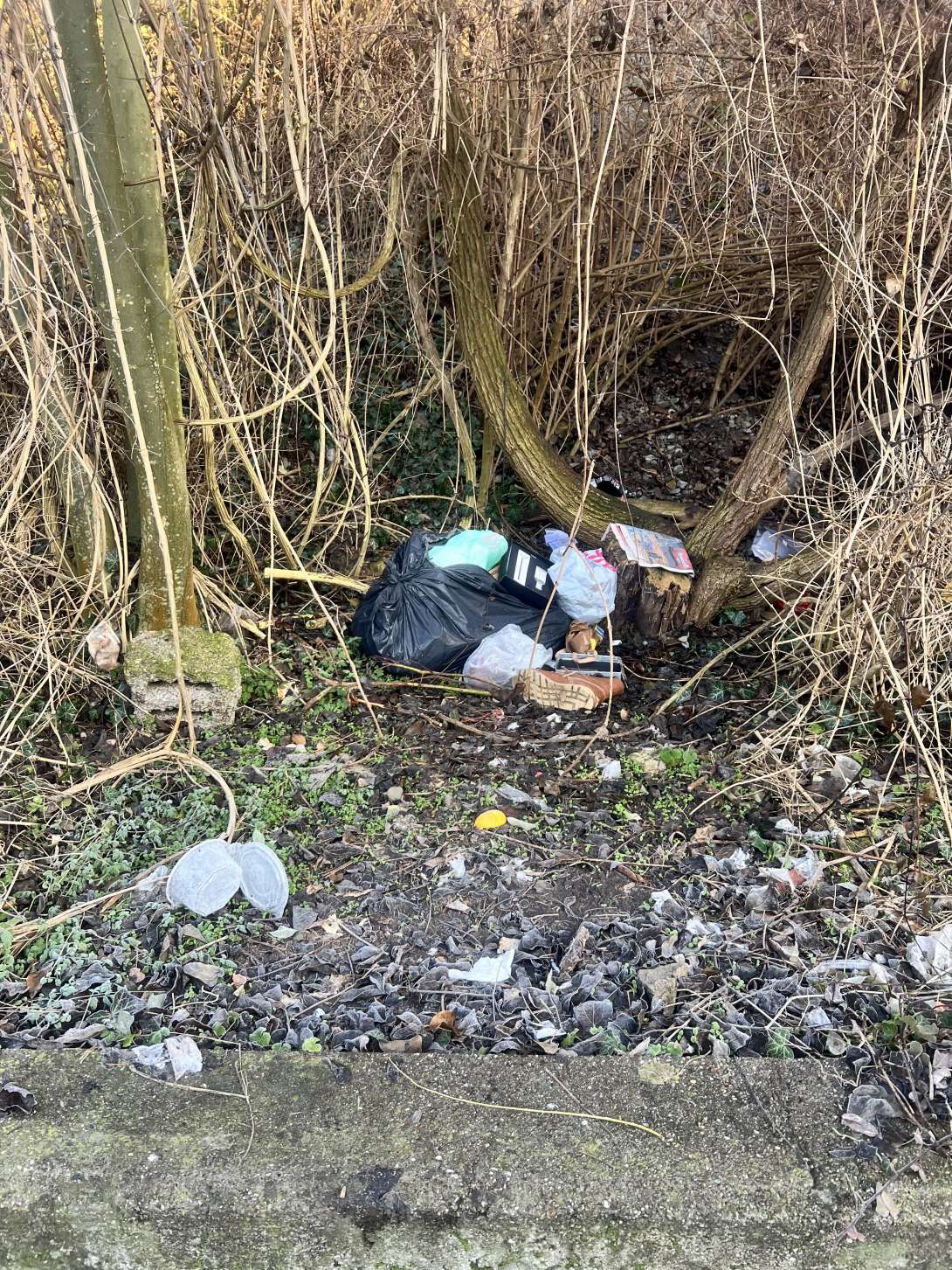 Bild zu gemeldetem Anliegen vom *2025-12-30 11:05:52