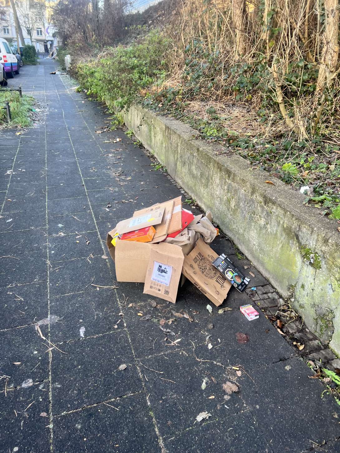 Bild zu gemeldetem Anliegen vom *2025-12-30 11:02:52