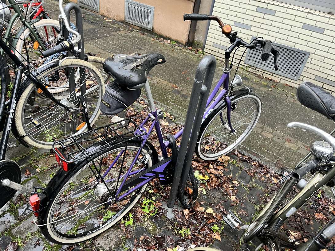 Bild zu gemeldetem Anliegen vom *2025-12-02 09:31:51