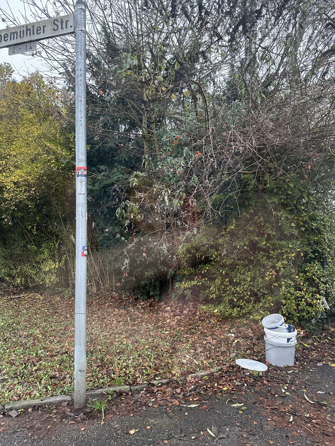 Bild zu gemeldetem Anliegen vom *2025-12-18 10:07:01