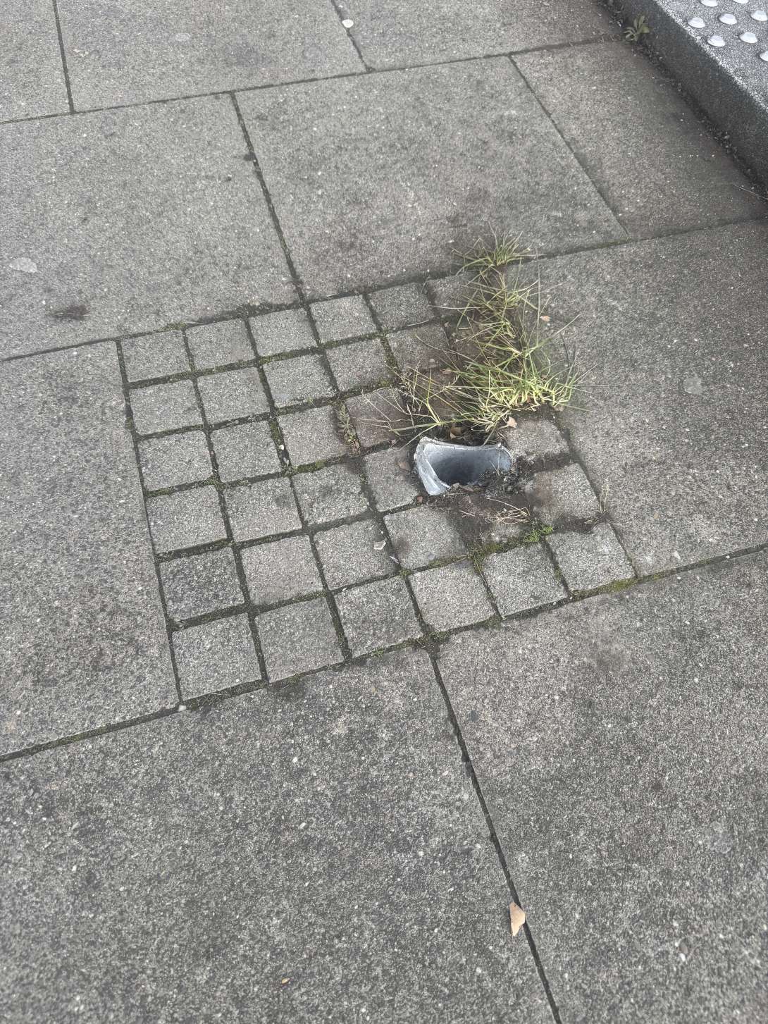 Bild zu gemeldetem Anliegen vom *2025-12-18 09:32:31