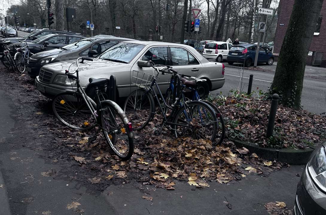 Bild zu gemeldetem Anliegen vom *2025-12-13 12:27:12