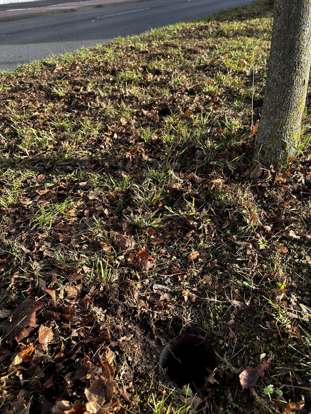 Bild zu gemeldetem Anliegen vom *2025-12-01 11:09:40