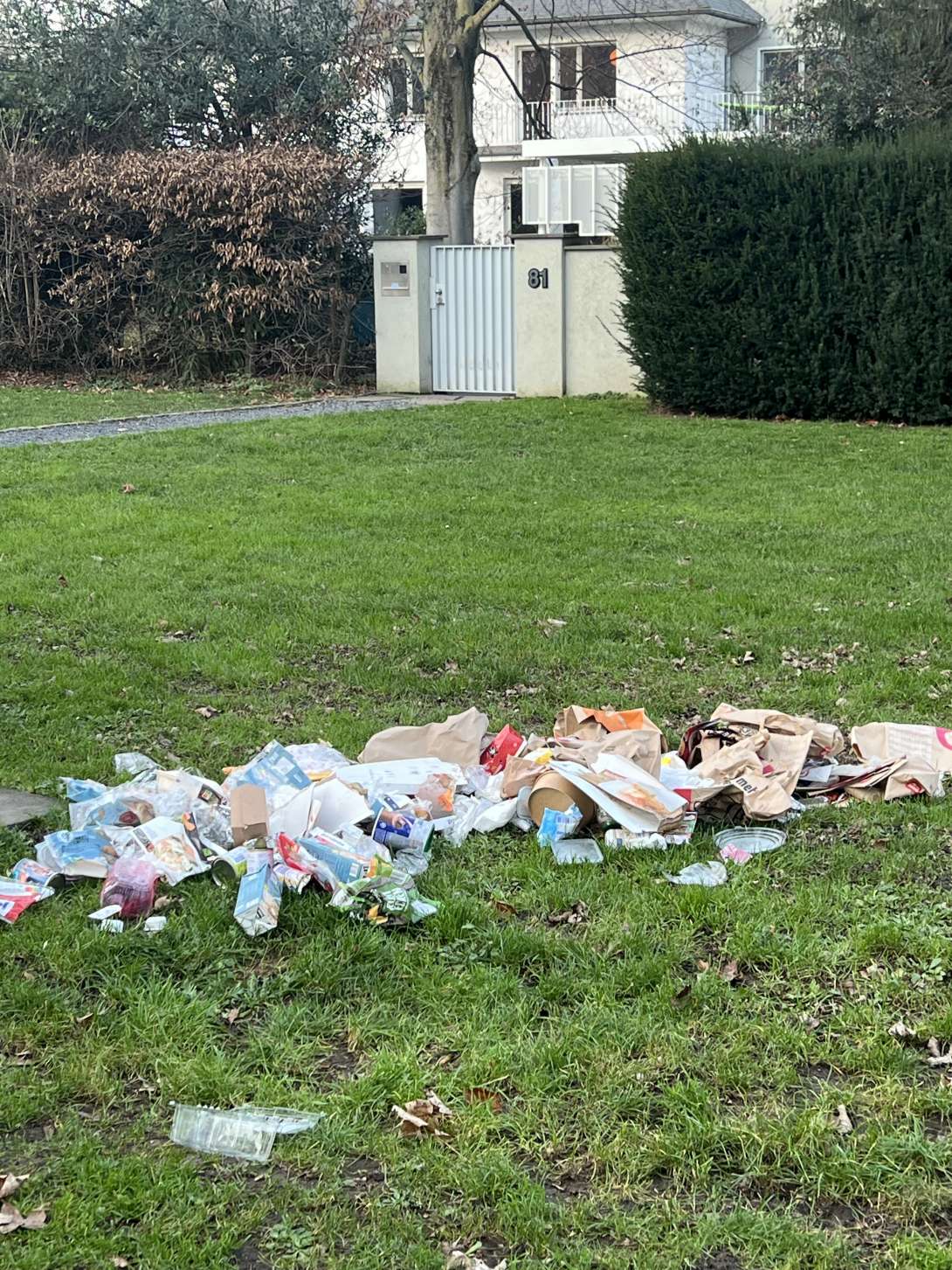 Bild zu gemeldetem Anliegen vom *2025-12-18 12:30:59