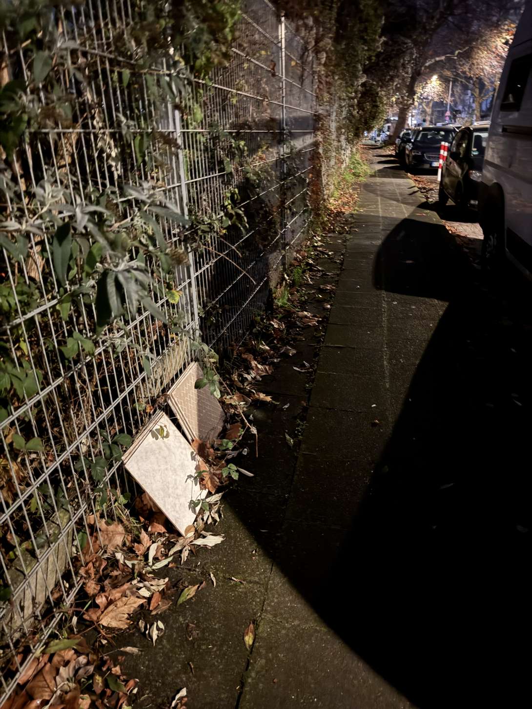 Bild zu gemeldetem Anliegen vom *2025-12-01 12:22:40