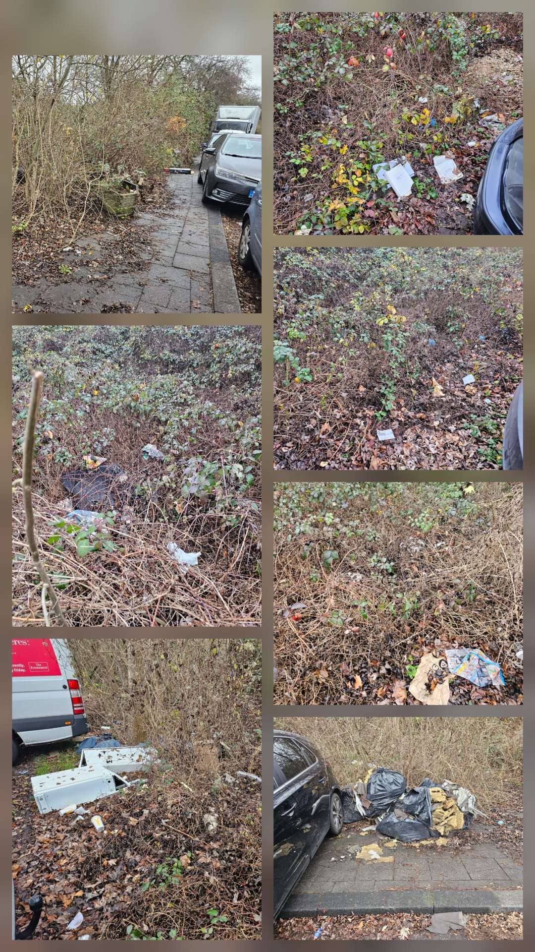 Bild zu gemeldetem Anliegen vom *2025-12-10 10:14:22