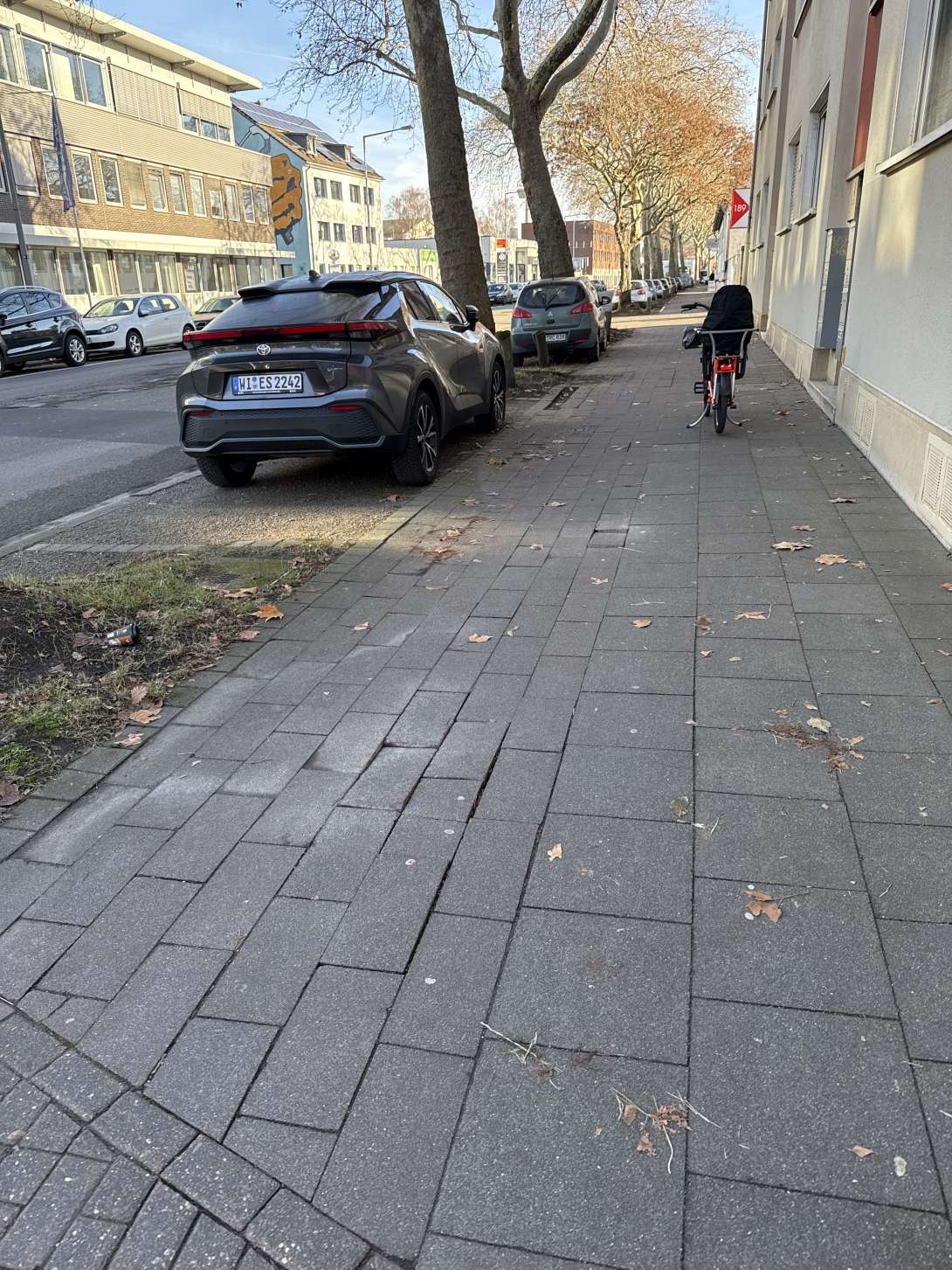 Bild zu gemeldetem Anliegen vom *2025-12-11 12:54:04