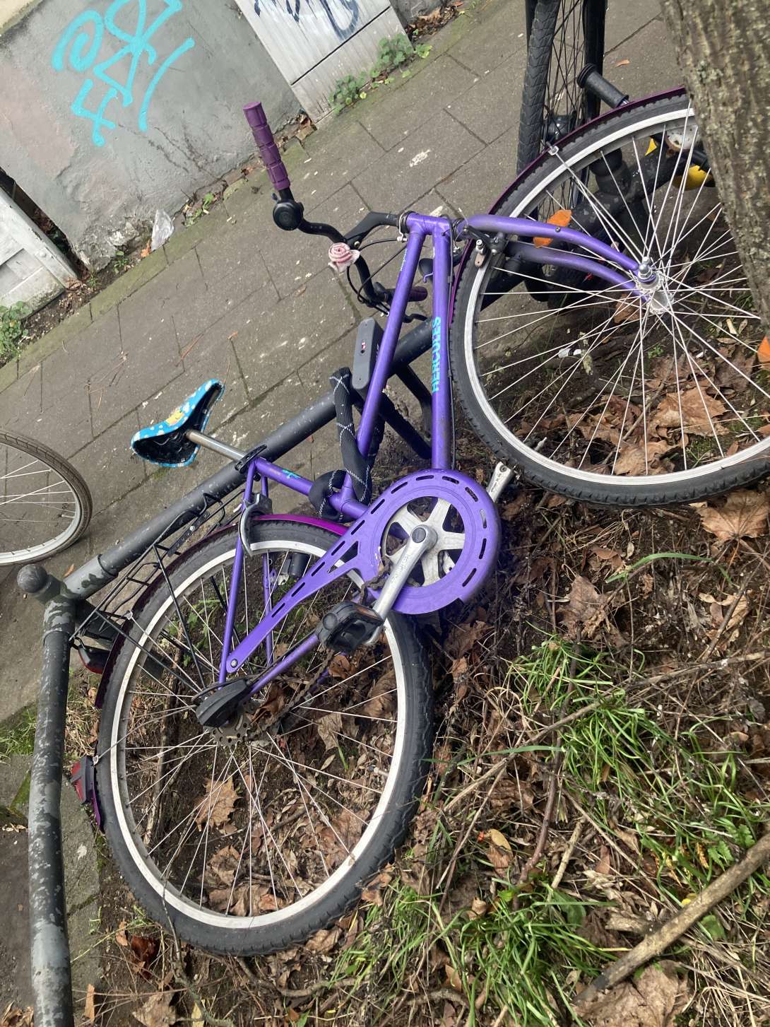 Bild zu gemeldetem Anliegen vom *2025-12-23 12:28:54