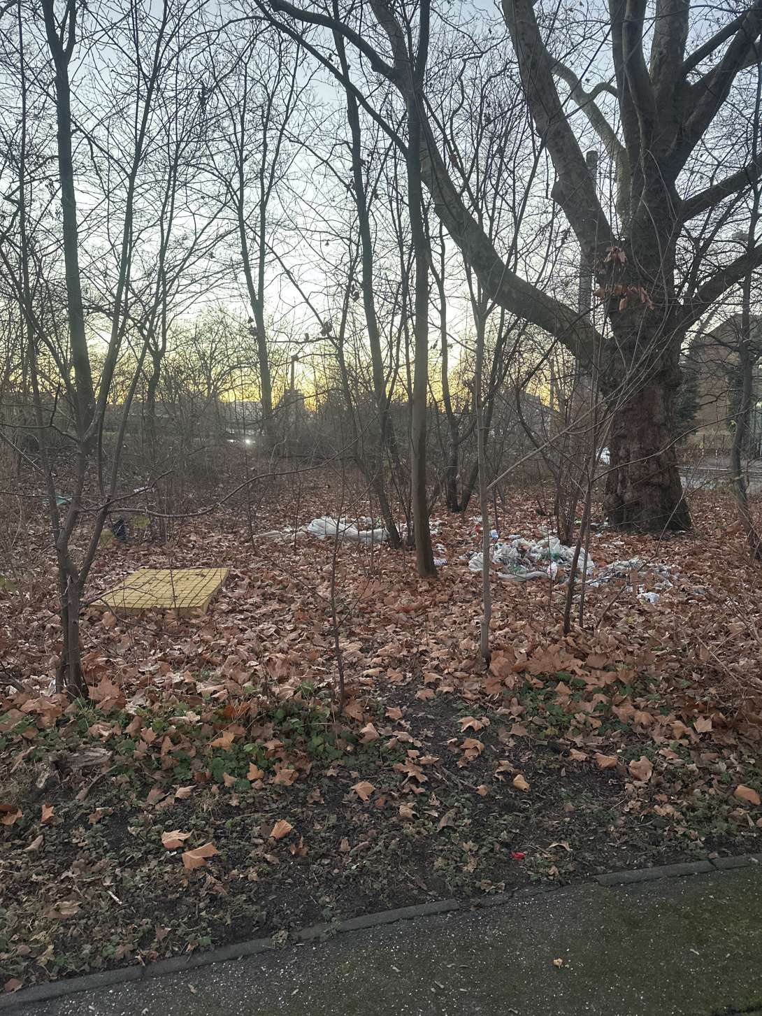 Bild zu gemeldetem Anliegen vom *2025-12-28 16:46:15