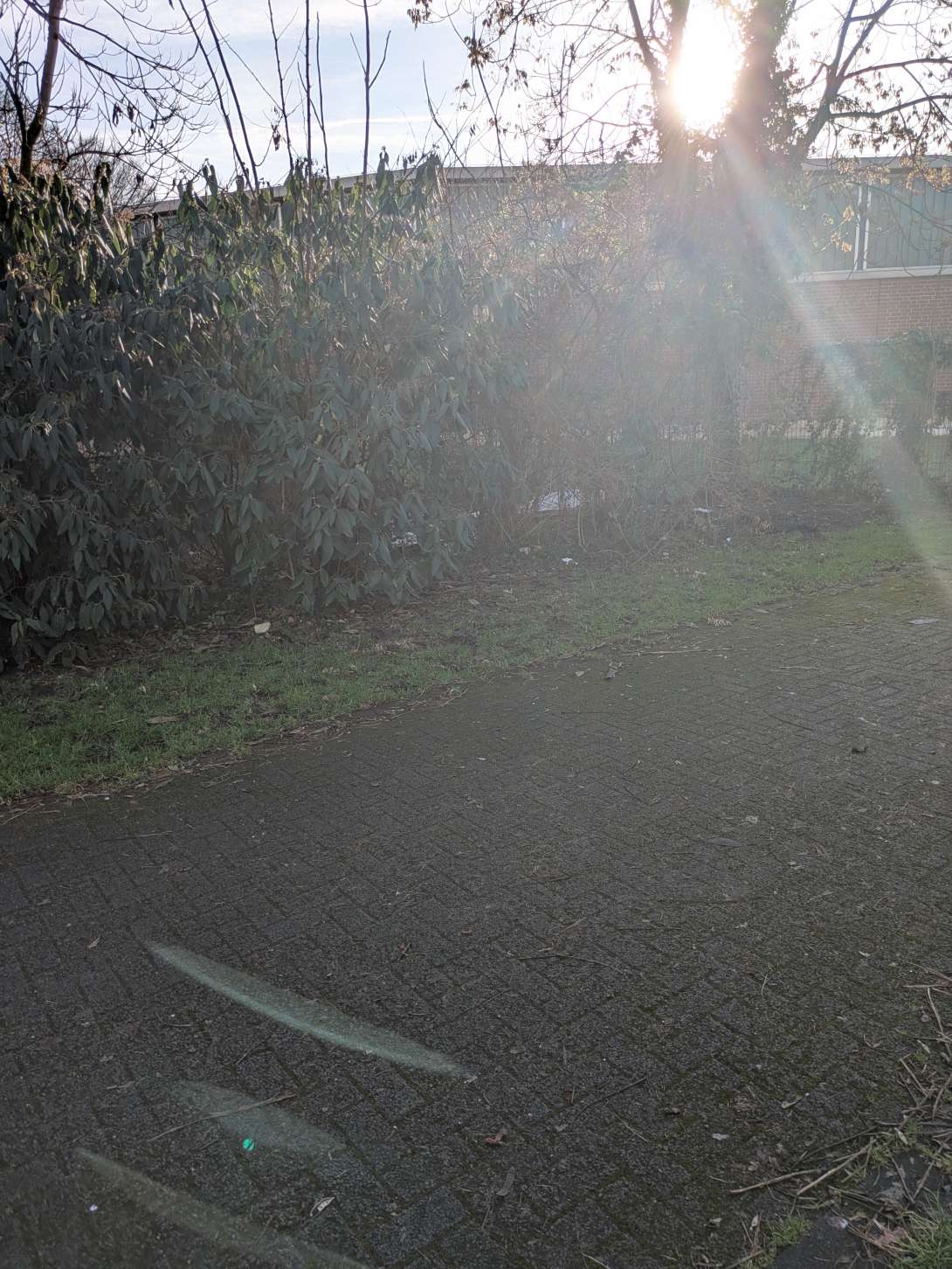 Bild zu gemeldetem Anliegen vom *2026-01-17 12:33:37