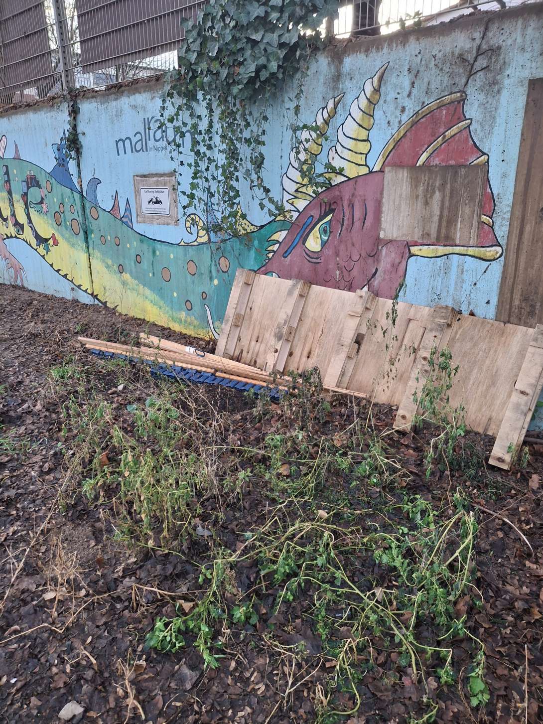 Bild zu gemeldetem Anliegen vom *2026-01-13 16:50:47