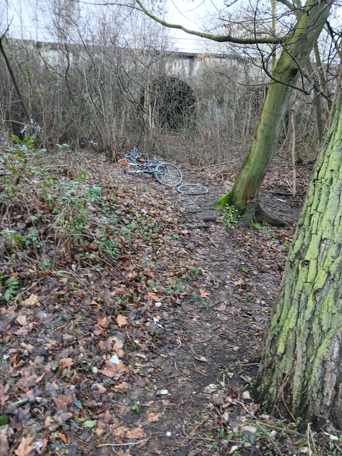 Bild zu gemeldetem Anliegen vom *2026-01-16 14:28:30