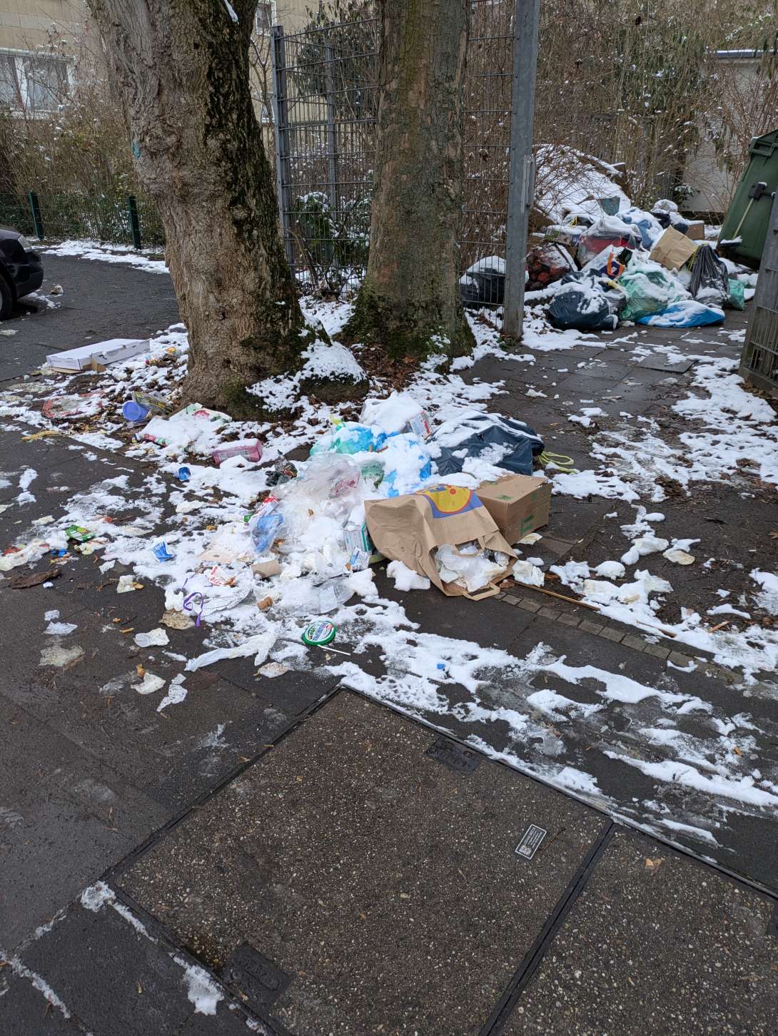 Bild zu gemeldetem Anliegen vom *2026-01-06 15:05:52