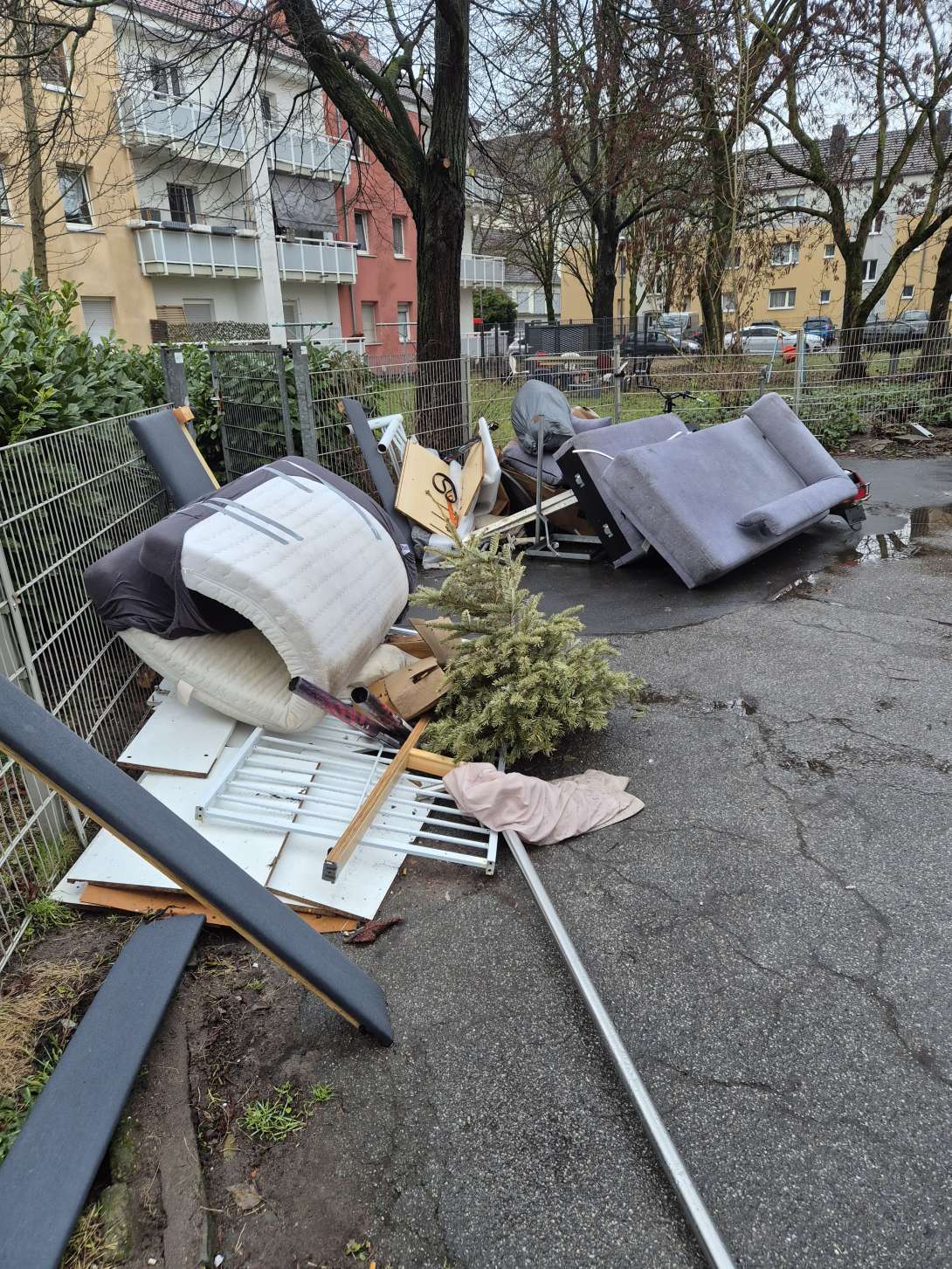 Bild zu gemeldetem Anliegen vom *2026-01-13 09:23:26