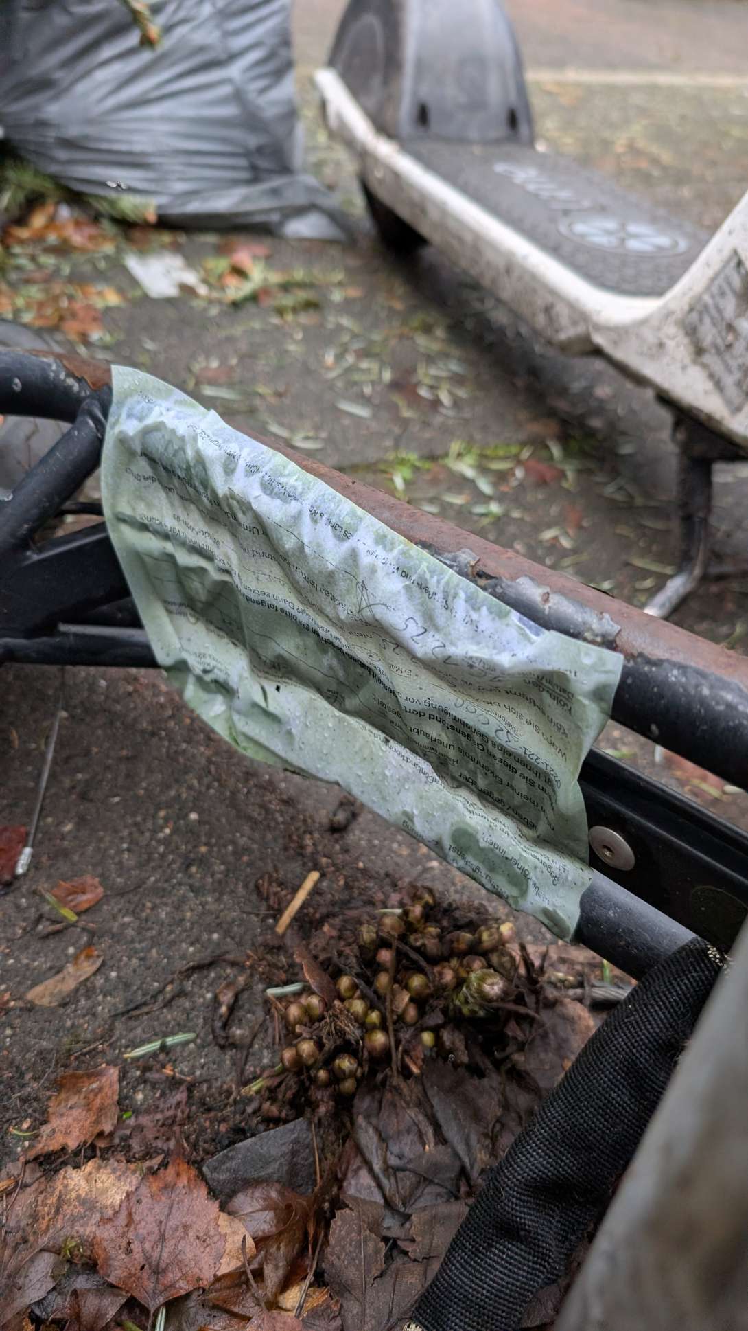 Bild zu gemeldetem Anliegen vom *2026-01-13 12:27:18