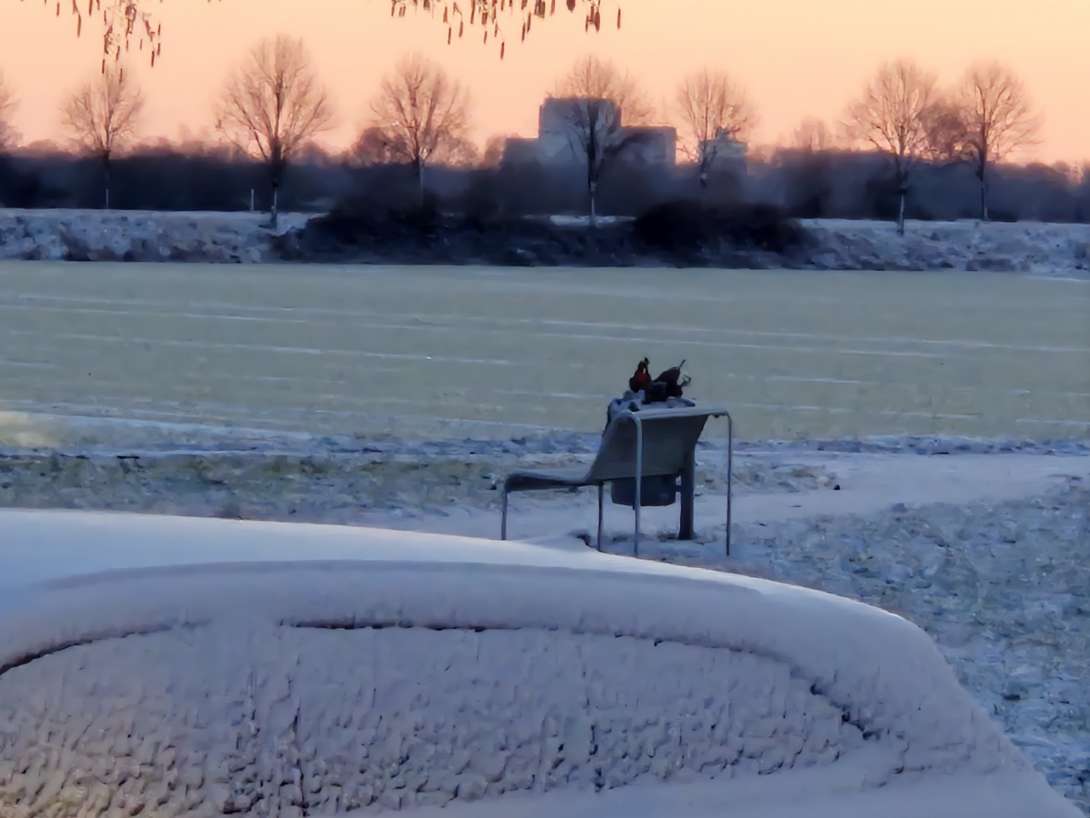 Bild zu gemeldetem Anliegen vom *2026-01-11 06:35:32