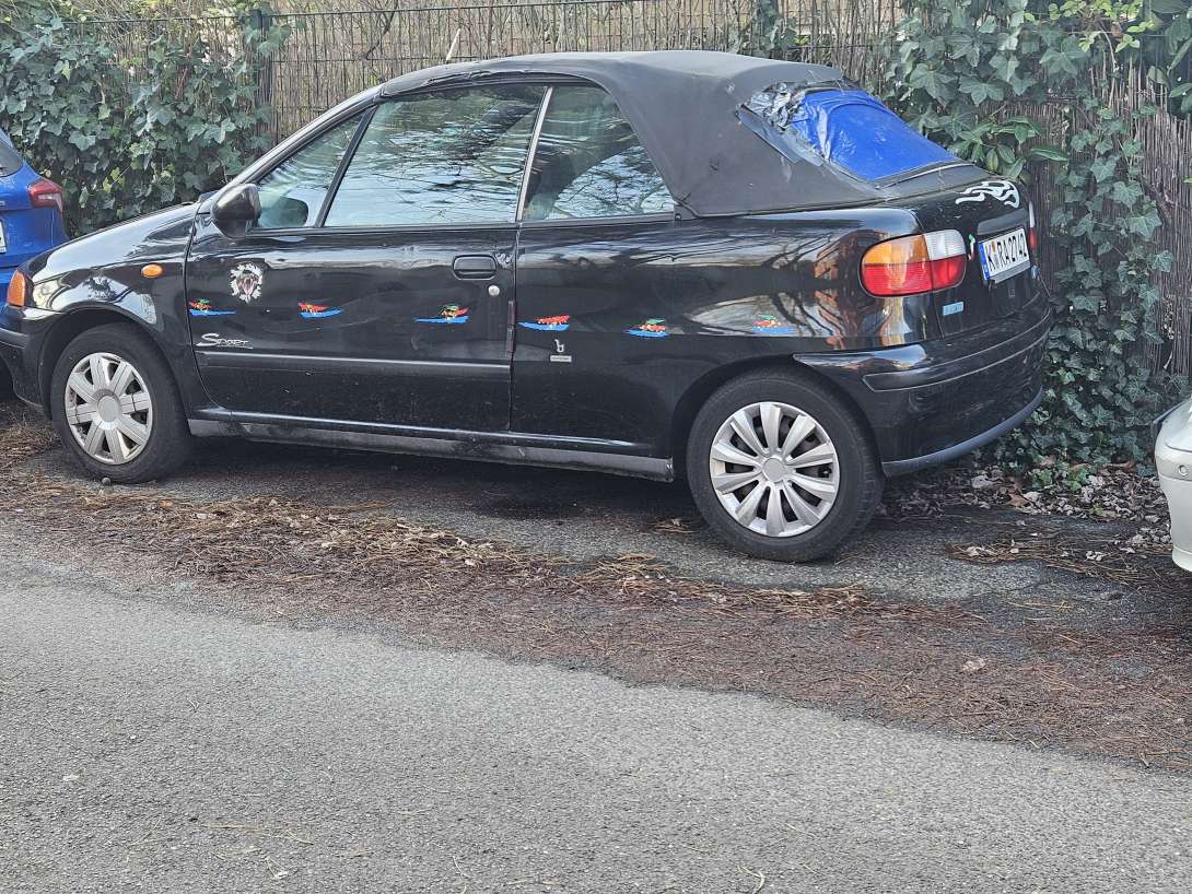 Bild zu gemeldetem Anliegen vom *2026-01-17 12:33:37