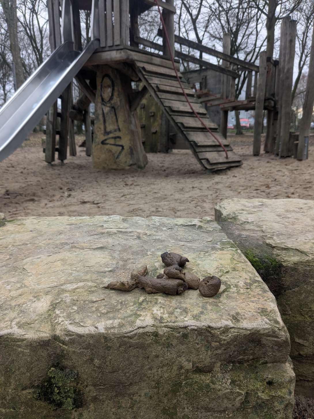 Bild zu gemeldetem Anliegen vom *2026-01-16 12:13:22