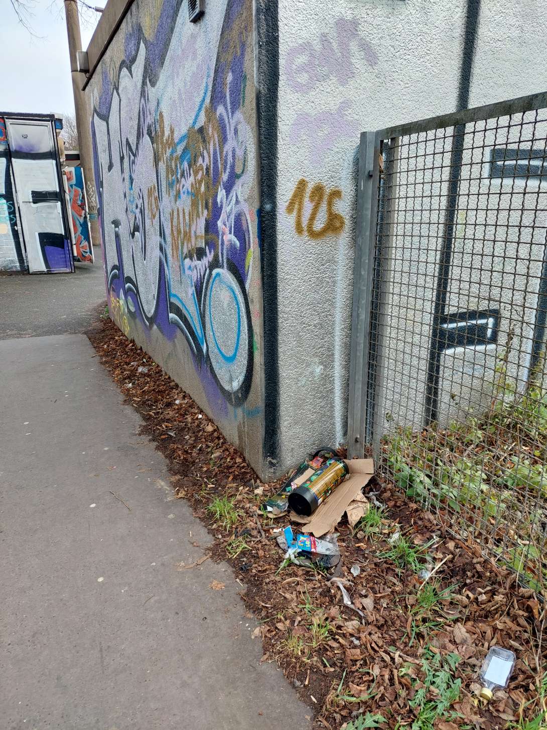 Bild zu gemeldetem Anliegen vom *2026-01-20 14:01:39