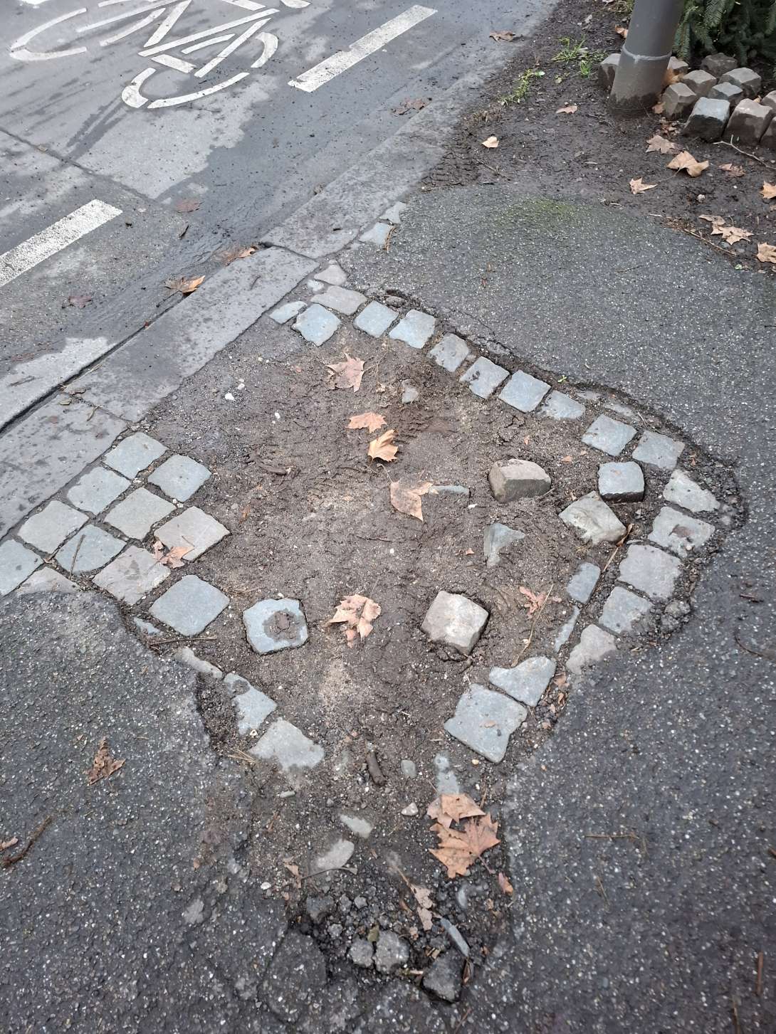 Bild zu gemeldetem Anliegen vom *2026-01-15 15:49:13