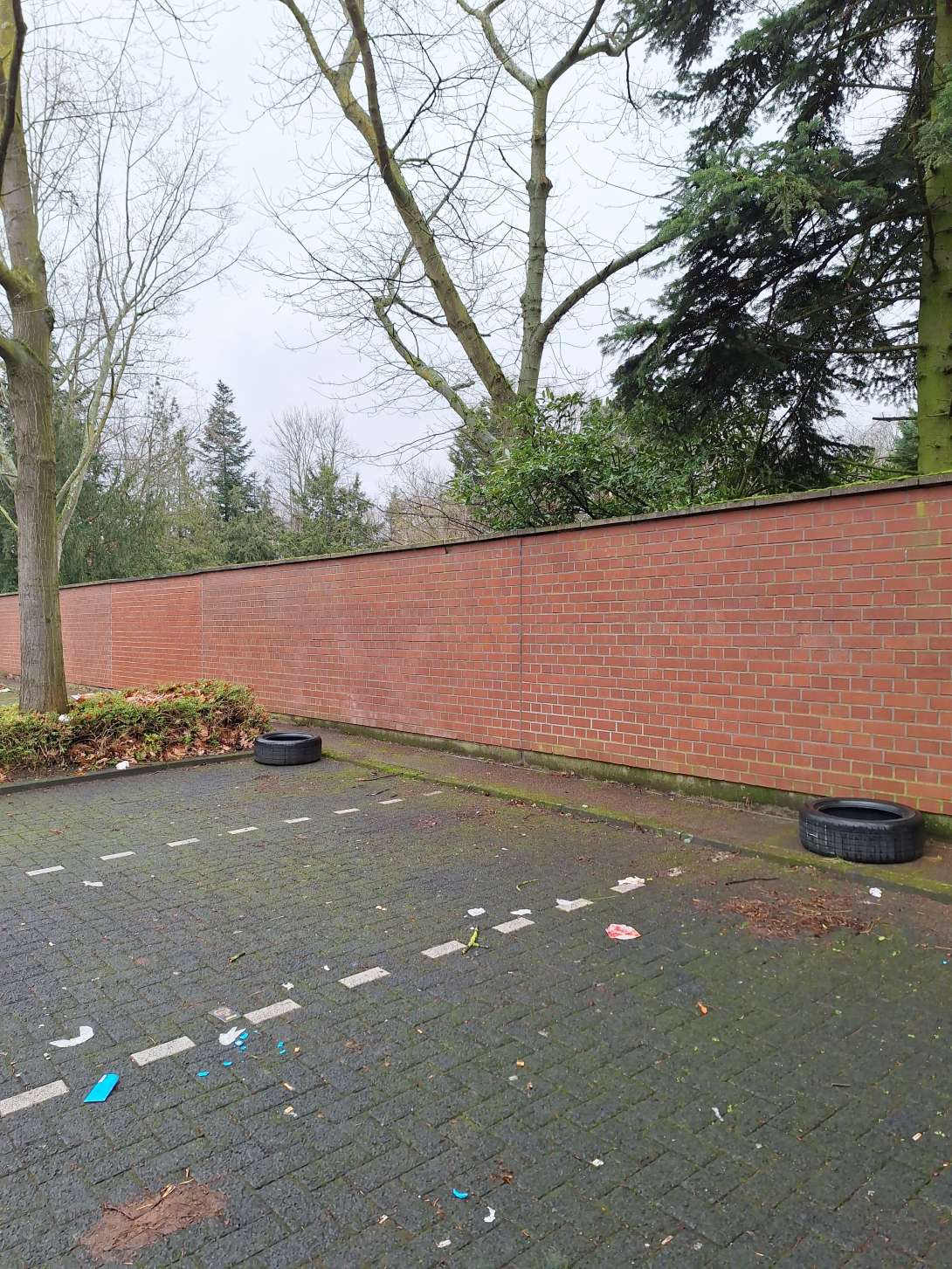 Bild zu gemeldetem Anliegen vom *2026-01-15 14:22:36