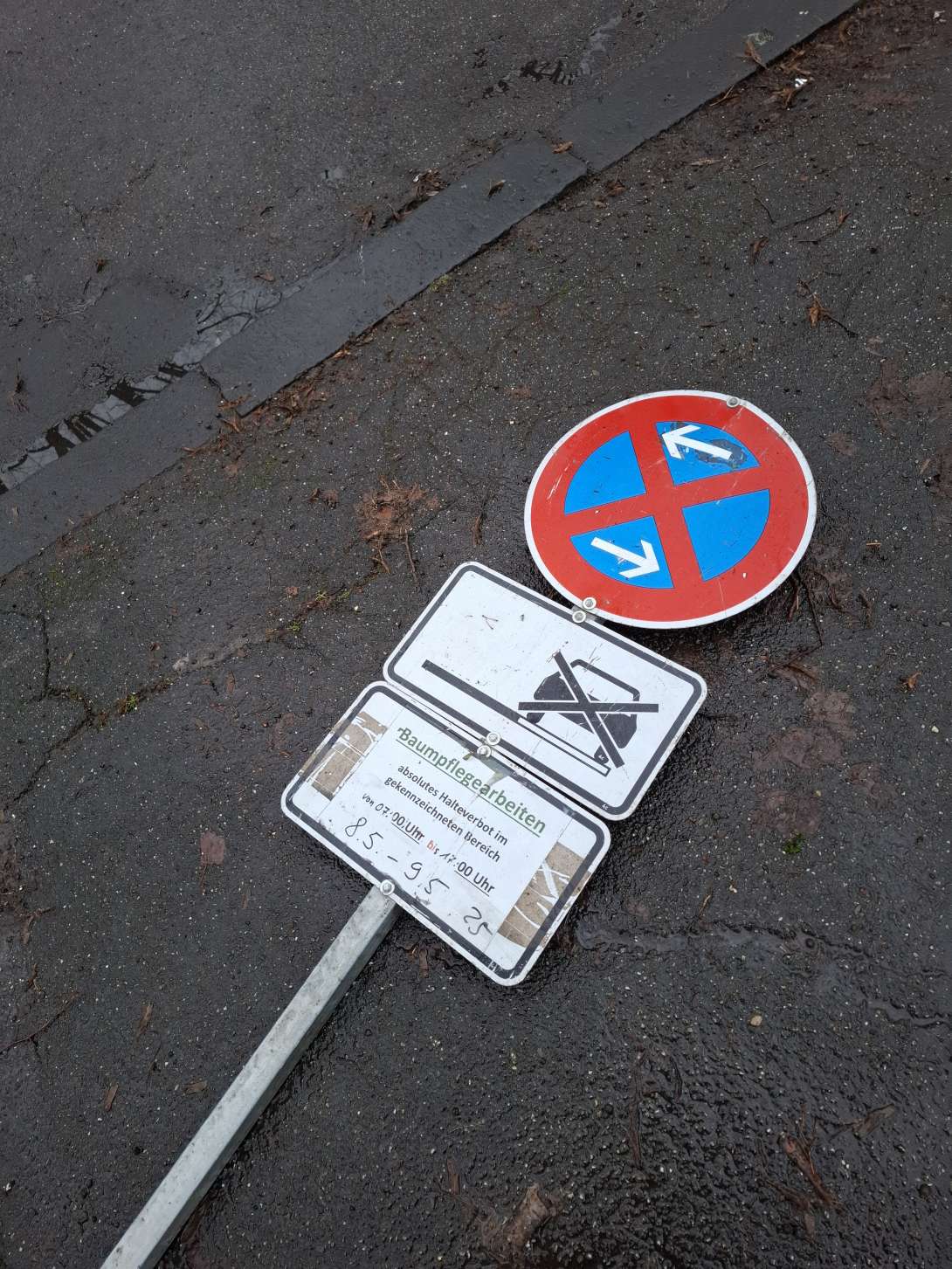 Bild zu gemeldetem Anliegen vom *2026-01-14 15:32:03