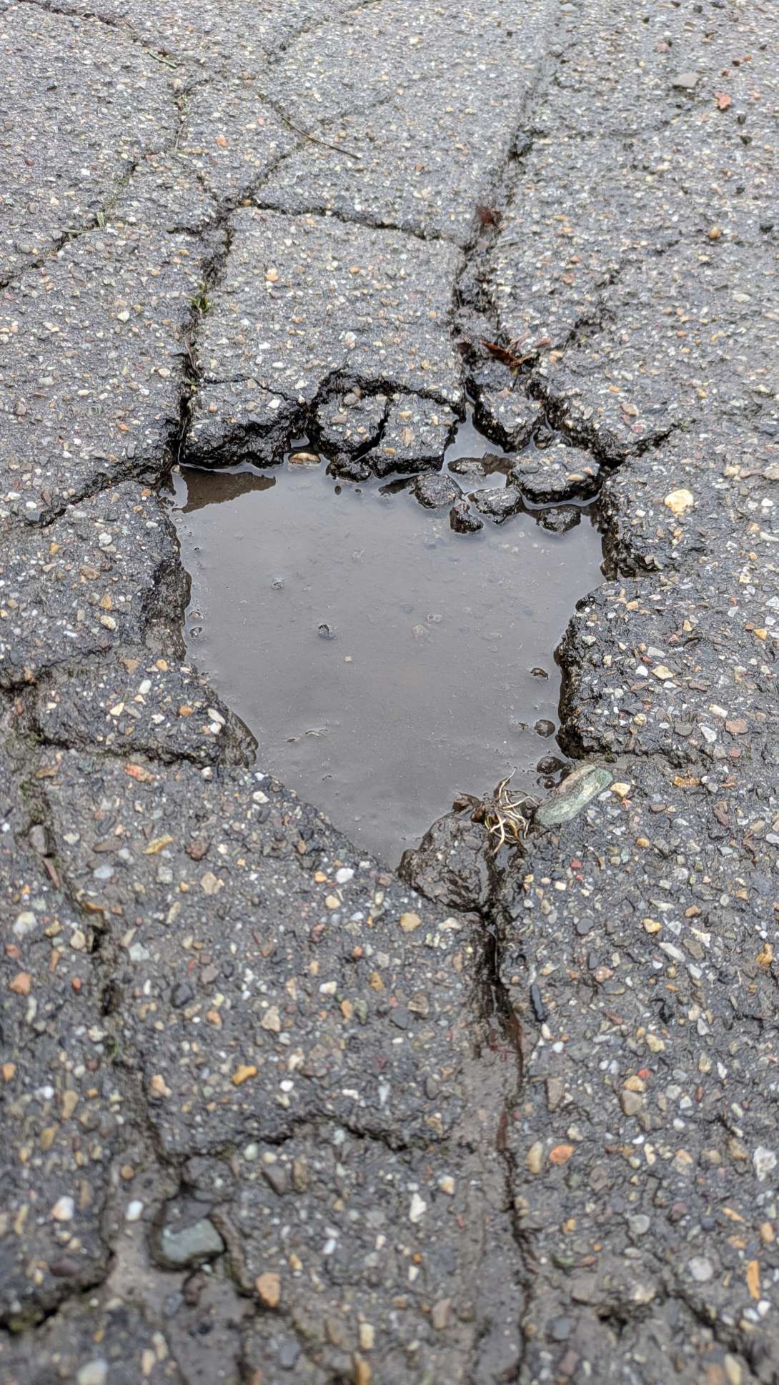 Schlagloch Am Pfropfbusch/Im Weidenkamp